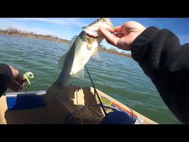 Late Winter Reaction Bite! (Cameron takes the GoPro!)
