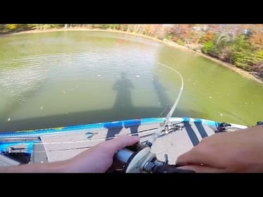 We got lucky... Schooling Bass DESTROY Jerkbaits..