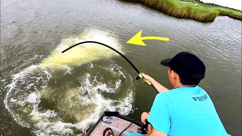 90 POUND MONSTER caught on a SWIMBAIT!! (INTENSE)