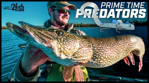 Catch More Fall Pike and Musky | Lures and Live Bait Tactics