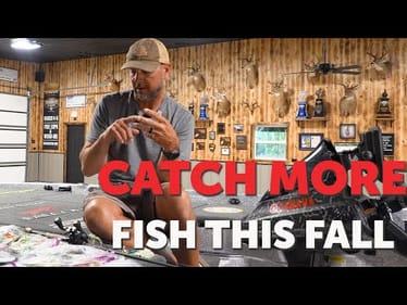These 3 Fall Spinnerbaits NEVER Leave my Boat!