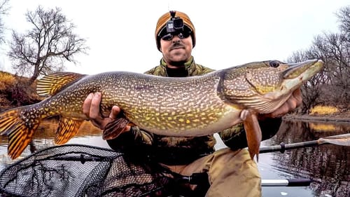 Fishing Big Swimbaits For Big Pike!