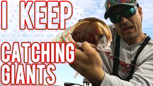 CRAZY!  I Keep Catching Epic Giant Bass Out Fishing