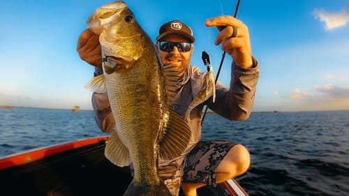 Swim Jig and Chatterbait Tips For Prespawn Bass In The Shallows