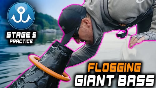 GIANT Bass Live Here! Lake Cayuga Practice Vlog