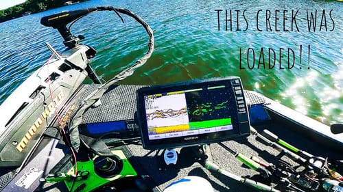 This CREEK Was LOADED With a HUGE School of BASS!!! || Early Fall Bass Fishing