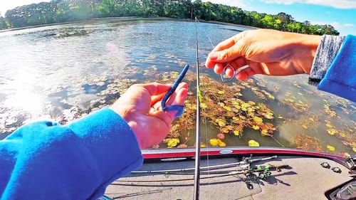 Fishing Lake Guntersville with Plastic Worms and Frogs! (Afternoon Outing)