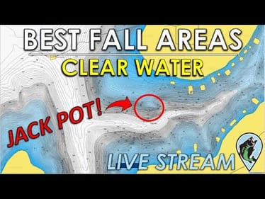 Best Shallow and Offshore Fall Fishing Areas on Clear Water Lakes | FTM Live Stream #61