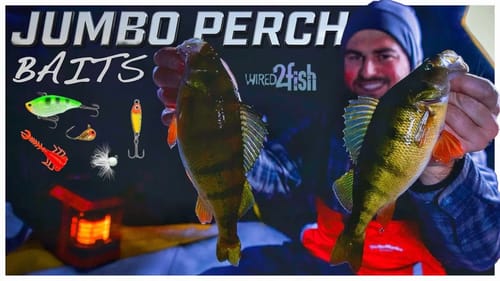 Best Ice Fishing Lures for Perch