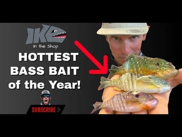 The Hottest NEW Bass Bait of the Year! (2021)