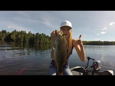 Best Drop Shot Bait?