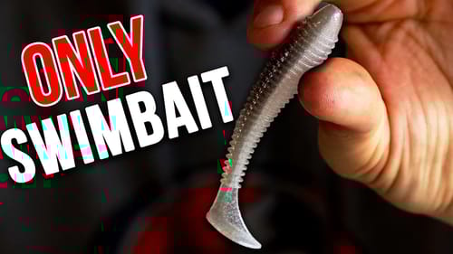 The ONLY way to Fish a SWIMBAIT