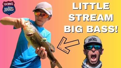 Little Stream BIG BASS!