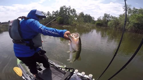 Sticking Big Bass in a Small Pond