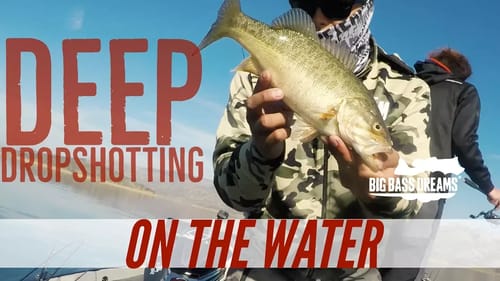 Deep Drop Shotting the Hazedong Shad for Mean Mouths