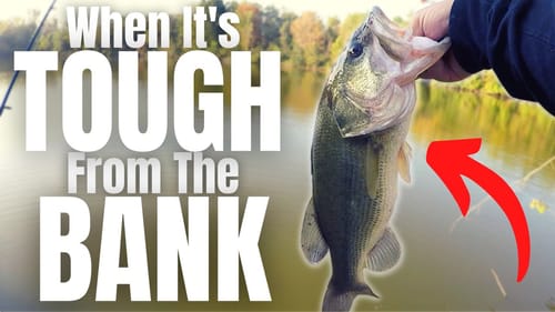 The #1 Bank Fishing LURE When It's TOUGH (NOT a Wacky Rig)