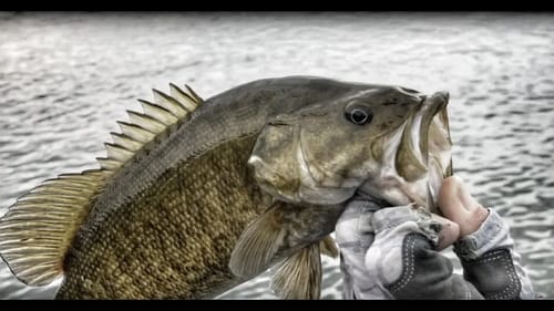 Going Ike! Small Mouth Bass Fishing In Pennsylvania