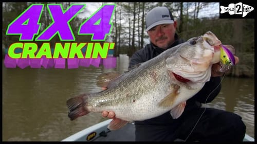 Squarebill Crankbait Basics and the Rapala BX Big Brat