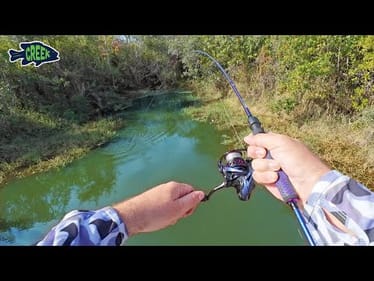Catching Aquarium Fish in the Ditch
