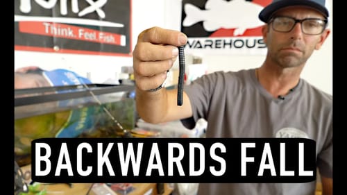 Ike In The Shop: "Tail Weighted French Fry"