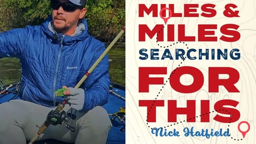 Tennessee Bass Fishing Hot Spots - Grass & Vegetation with MLF Bass Pro Tour's Nick Hatfield