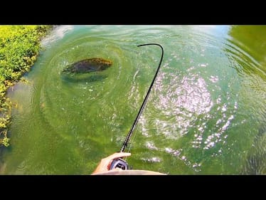 We found a SPILLWAY on GOOGLE EARTH and then THIS HAPPENED...