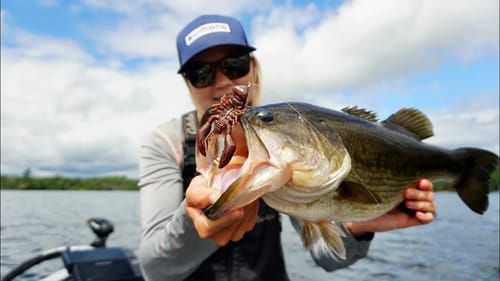 Fishing the Megabass SLEEPER CRAW!
