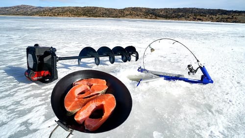CATCH and COOK while Ice Fishing!!! (SO DELICIOUS)
