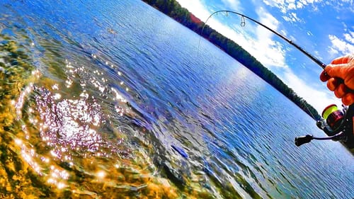 A SIMPLE WAY TO CATCH BIG BASS FROM THE BANK!!!