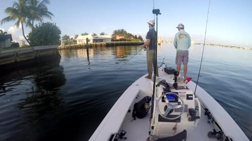 Fishing with LakeForkGuy and Blacktiph