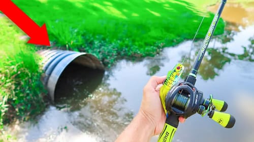 This DRAIN is LOADED w/ GIANT Bass (Frog Fishing)