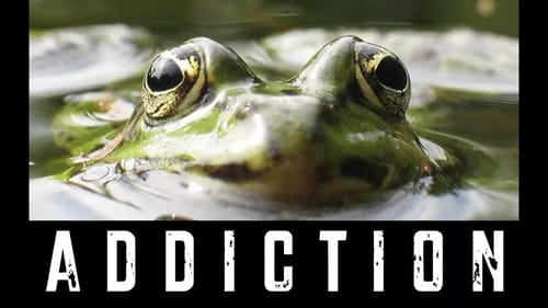 FROG FISHING ADDICTION