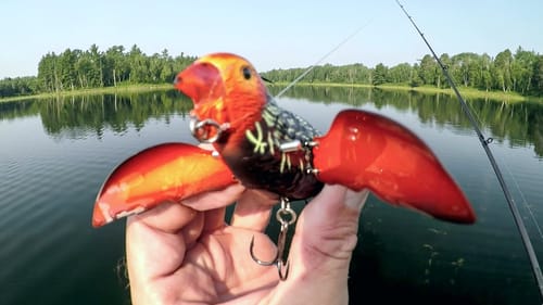Bird Lure Catches MONSTER Bass!