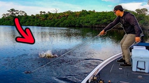 Crushing BIG Fish In a Saltwater River!