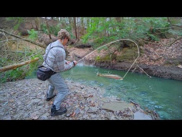 Fishing Tiny HIDDEN Creeks For MONSTERS! -- Erie Steelhead