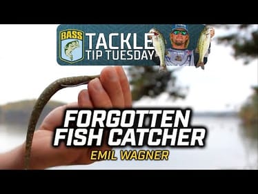 The Often-Forgotten fish catcher