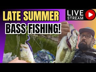 (LIVE) Late Summer Bass Fishing TIPS & TRICKS!