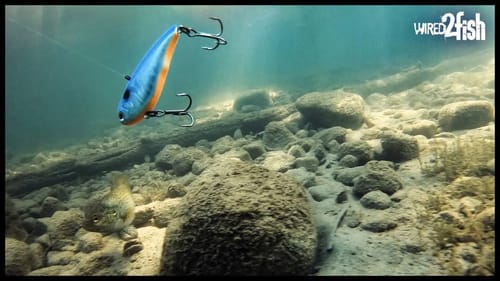 2 Overlooked Lipless Crankbait Uses for Fall Bass