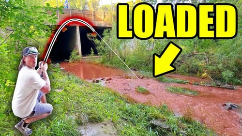 FLASH FLOOD Draws EVERY Fish to this City Spillway!