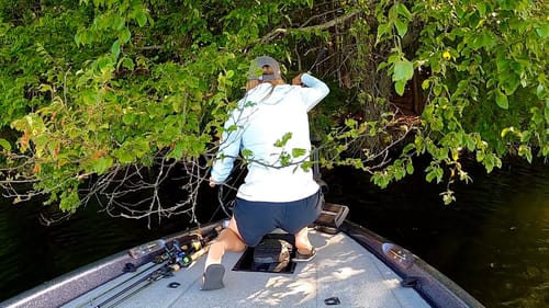 Finding Summer Bass SUPER Shallow!