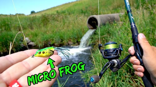 MICRO Frog Lure Creek Fishing Challenge!!