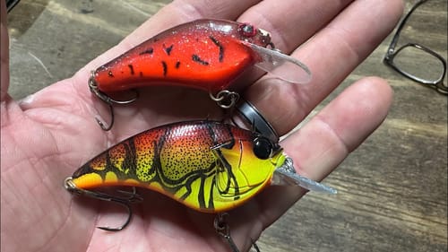 THIS Blows Up My Theory On Red And Flatsided Crankbaits!