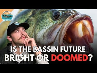 5 BOLD Predictions for the Future of the Fishing Industry