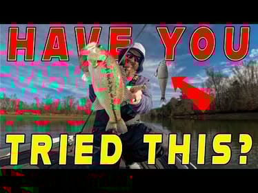 The 2 "MUST HAVE" Baits For January Bass Fishing! (Day On The Water With Matt)