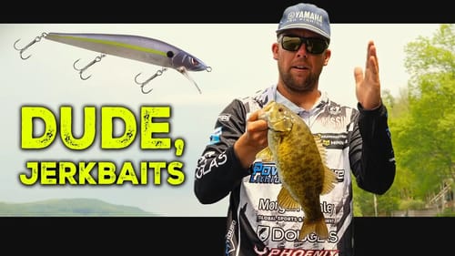 Jerkbait Fishing FRENZY (Bassmaster's Guide to Hard & Soft Plastic Jerkbaits)