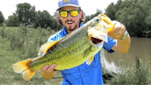 GIANT Bass, Catfish, and Sharks!! (EPIC Catches of 2016)