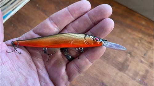 Don’t Fall For THIS Winter Jerkbait Myth…