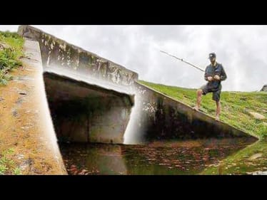 The FLOODING brings out the BIG FISH!!
