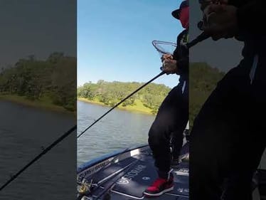 10 Inch Swimbait = 10 Pound Bass