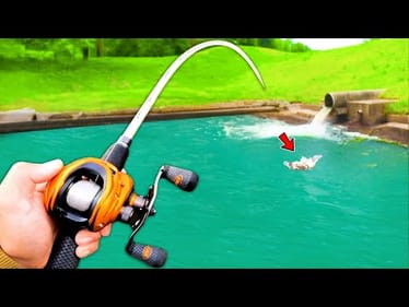 Fishing for 10lb Bass in Backyard Pond!